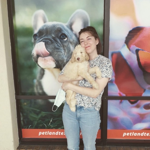 Meet your Posher, Sharla - Picture 4 of 6